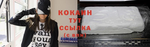 мдпв Горняк