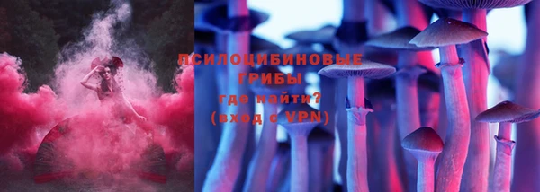 мдпв Горняк