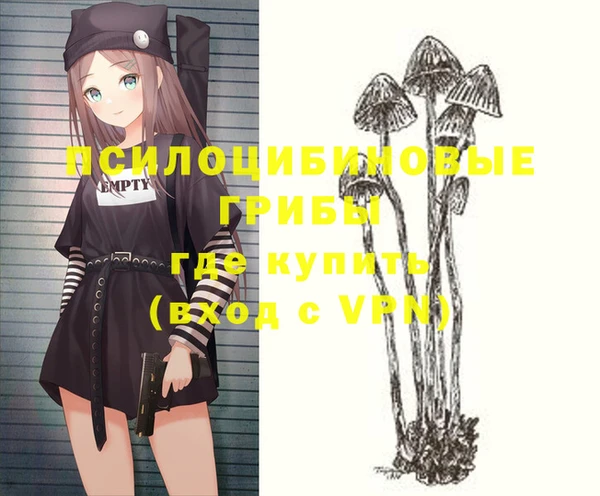 соль ск Гусь-Хрустальный