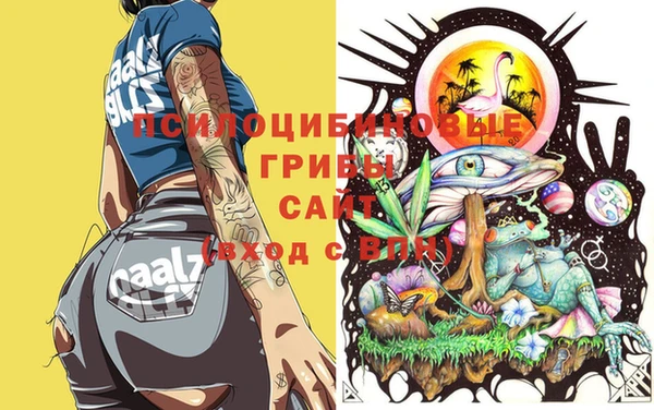 мдпв Горняк