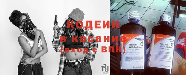 дмт Гусев