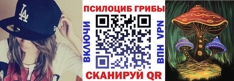 Псилоцибиновые грибы ЛСД  Купить закладки  Игарка 