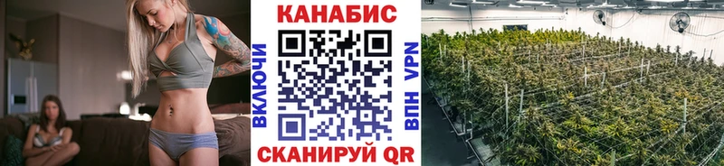 Купить где  Игарка  Конопля планчик 
